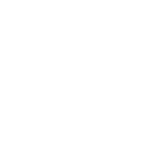 Logo branco fundo transparente